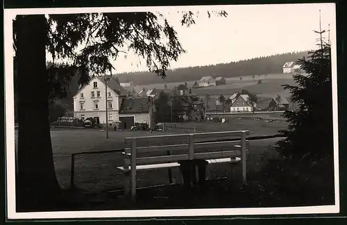 Fotografie Brück & Sohn Meissen, Ansicht Steinbach i. Erzg., Blick aus dem Wald auf die Wohnhäuser