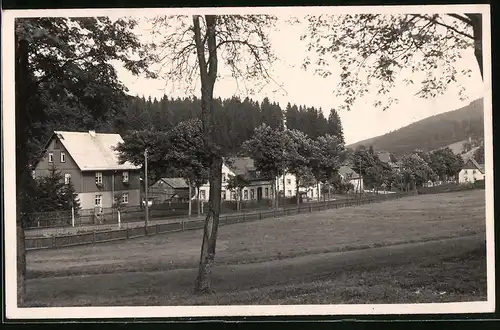 Fotografie Brück & Sohn Meissen, Ansicht Wildenthal i. Erzg., Blick in den Ort mit Wohnhäusern