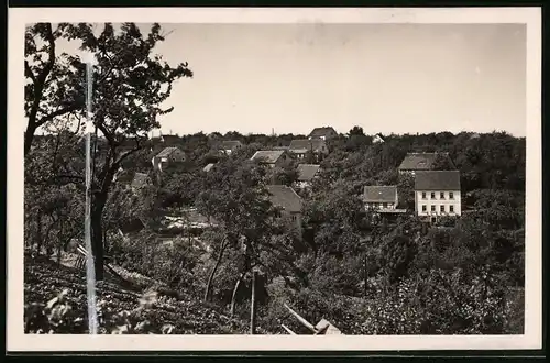 Fotografie Brück & Sohn Meissen, Ansicht Scharfenberg, Blick auf den Ort