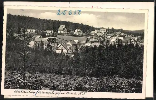 Fotografie Brück & Sohn Meissen, Ansicht Oberbärenburg, Panorama der Ortschaft