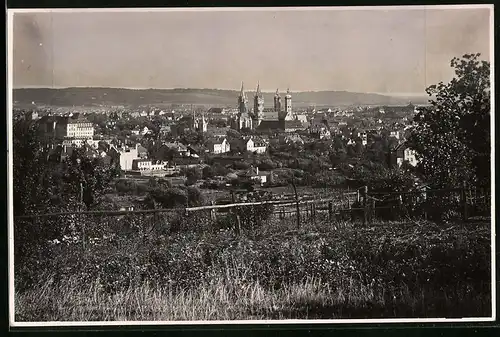 Fotografie Brück & Sohn Meissen, Ansicht Naumburg, Stadtansicht mit Kathedrale