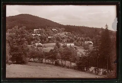 Fotografie Brück & Sohn Meissen, Ansicht Bärenfels, Ortsansicht am Waldrand