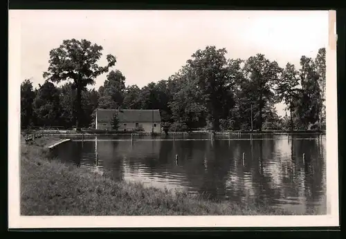 Fotografie Brück & Sohn Meissen, Ansicht Glaubitz bei Riesa, Schwimmbad - Freibad