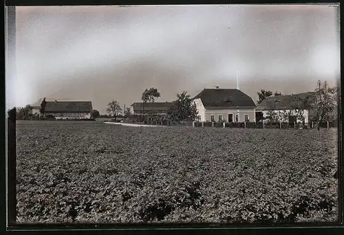 Fotografie Brück & Sohn Meissen, Ansicht Schänitz über Riesa, Gehöft am Ortsrand
