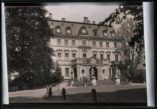 Fotografie Brück & Sohn Meissen, Ansicht Altdöbern, Plastiken am Schlossportal