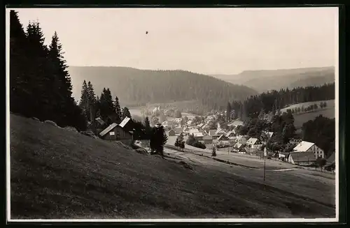 Fotografie Brück & Sohn Meissen, Ansicht Wildenthal, Blick über den Ort