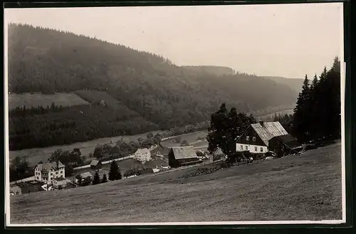 Fotografie Brück & Sohn Meissen, Ansicht Wildenthal, Gehöft in Hanglage