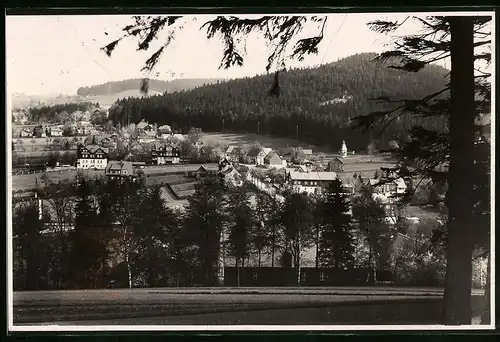 Fotografie Brück & Sohn Meissen, Ansicht Bärenfels, Ortschaft vom nahen Hügel gesehen