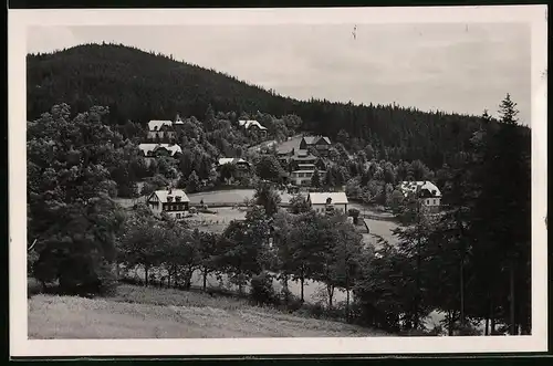 Fotografie Brück & Sohn Meissen, Ansicht Bärenfels, Villen am Waldrand