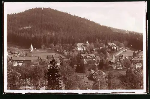 Fotografie Brück & Sohn Meissen, Ansicht Bärenfels, Teilansicht der Ortschaft