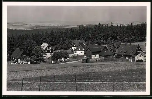 Fotografie Brück & Sohn Meissen, Ansicht Oberbärenburg, Bauernhäuser am Waldrand