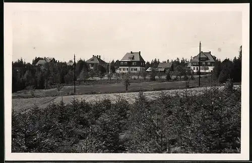 Fotografie Brück & Sohn Meissen, Ansicht Oberbärenburg, Wohnhäuser am Waldrand