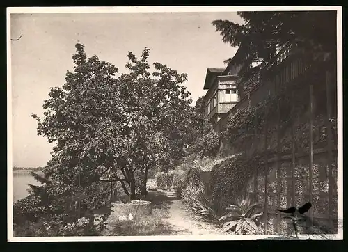 Fotografie Brück & Sohn Meissen, Ansicht Dresden-Loschwitz, Haus Böhme in der Körnerstrasse 26