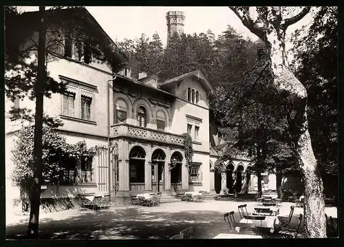 Fotografie Brück & Sohn Meissen, Ansicht Rochlitz, Rochlitzer Berg mit Hotel & Aussichtsturm