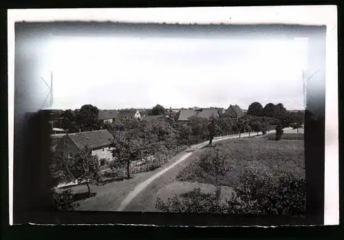 Fotografie Brück & Sohn Meissen, Ansicht Löbsal, Ortsrand am Golkwald