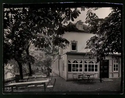 Fotografie Brück & Sohn Meissen, Ansicht Collm, Gasthof, Partie auf der Terrasse