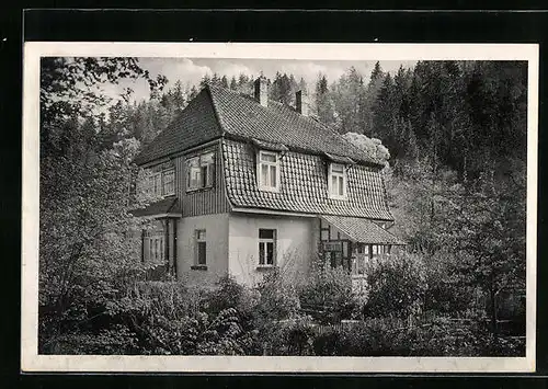 AK Altenbrak /Harz, Hotel - Pension Villa Heidecke