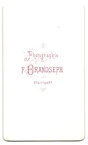 Fotografie F. Brandseph, Stuttgart, Bürgerliche Dame mit einer Schleife