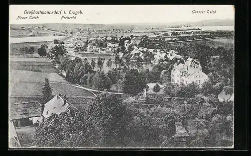 AK Grosshartmannsdorf i. Erzgeb., Gesamtansicht mit Freiwald und Grosser Teich