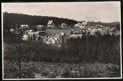 Fotografie Brück & Sohn Meissen, Ansicht Oberbärenburg i. Erzg., Blick vom Wald auf den Ort