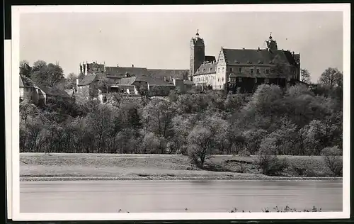 Fotografie Brück & Sohn Meissen, Ansicht Strehla / Elbe, Blick auf das Schloss Strehla