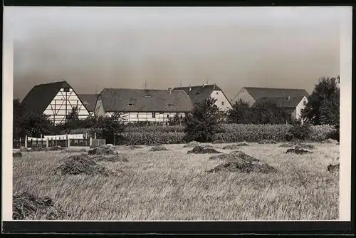 Fotografie Brück & Sohn Meissen, Ansicht Krögis, Blick auf den Ortsteil Görtitz