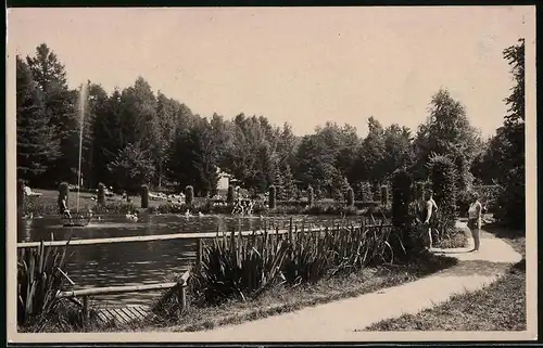 Fotografie Brück & Sohn Meissen, Ansicht Bad Elster, Partie im Familienbad mit Badegästen