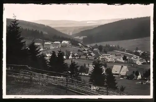 Fotografie Brück & Sohn Meissen, Ansicht Carlsfeld i. Erzg., Blick vom Waldweg auf den Ort