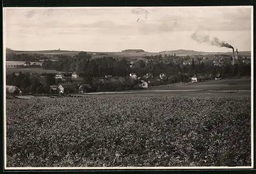 Fotografie Brück & Sohn Meissen, Ansicht Grossschweidnitz, Blick nach dem Ort mit Landesanstalt