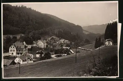 Fotografie Brück & Sohn Meissen, Ansicht Wildenthal i. Erzg., Blick in den Ort mit Hotel zur Post