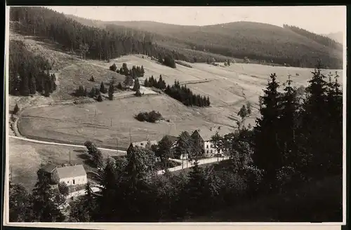 Fotografie Brück & Sohn Meissen, Ansicht Wildenthal i.Erzg., Teilansicht vom Wald auf den Ort