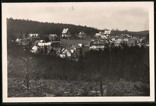 Fotografie Brück & Sohn Meissen, Ansicht Oberbärenburg i. Erzg., Blick auf die Villen im Ort