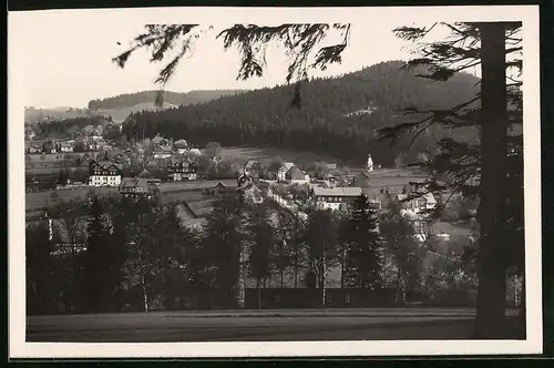 Fotografie Brück & Sohn Meissen, Ansicht Bärenfels i. Erzg., Blick vom Wald auf den Ort mit Hotel Felsenburg