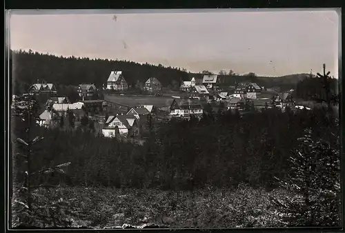Fotografie Brück & Sohn Meissen, Ansicht Oberbärenburg i. Erzg., Blick in den Ort mit Villen
