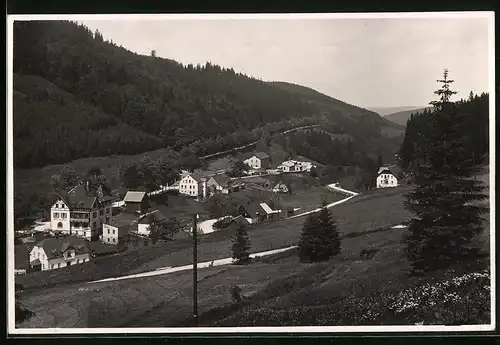 Fotografie Brück & Sohn Meissen, Ansicht Wildenthal, Ortsansicht mit dem Hotel zur Post