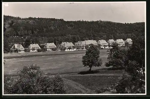 Fotografie Brück & Sohn Meissen, Ansicht Berggiesshübel, Blick auf die Siedlung