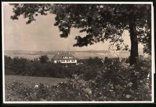 Fotografie Brück & Sohn Meissen, Ansicht Meissen i. Sa., Wöchnerinnen- und Entbindungsheim Domprobstberg