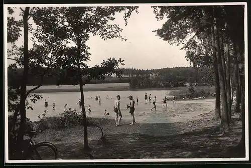 Fotografie Brück & Sohn Meissen, Ansicht Dahlen i. Sa., Badegäste am Waldteich in der Dahlener Heide