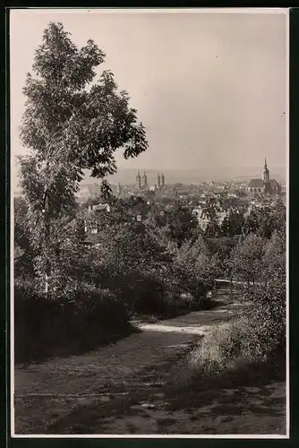 Fotografie Brück & Sohn Meissen, Ansicht Naumburg / Saale, Partie im Wald mit Blick auf die Stadt