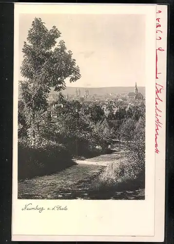 Fotografie Brück & Sohn Meissen, Ansicht Naumburg / Saale, Partie im Wald mit Blick auf die Stadt