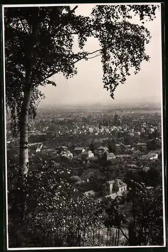 Fotografie Brück & Sohn Meissen, Ansicht Radebeul, Panorama der Stadt