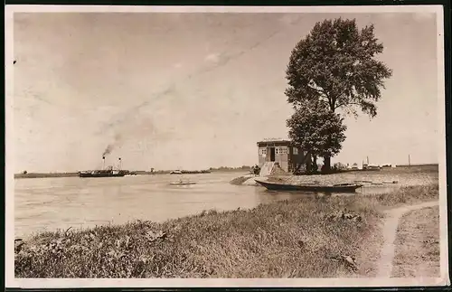 Fotografie Brück & Sohn Meissen, Ansicht Mühlberg, Kleine Fähre & Strandhäuschen