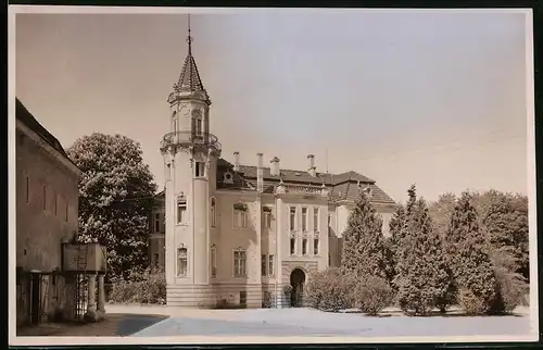 Fotografie Brück & Sohn Meissen, Ansicht Mühlberg, Schloss Güldenstern