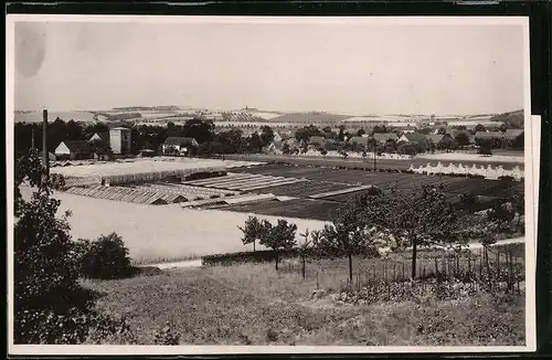 Fotografie Brück & Sohn Meissen, Ansicht Nieschütz, Gewächshäuser am Ortsrand