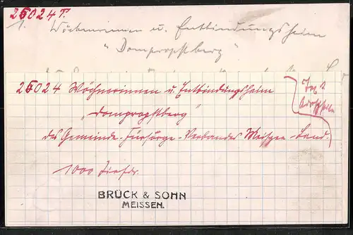 Fotografie Brück & Sohn Meissen, Ansicht Meissen, Wöchnerinnen - und Entbindungsheim Domprobstberg