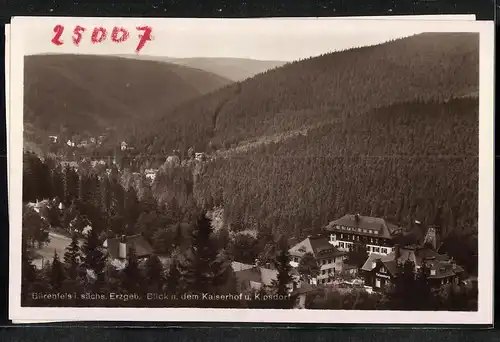 Fotografie Brück & Sohn Meissen, Ansicht Bärenfels, Kaiserhof & Kipsdorf, Felsenburg