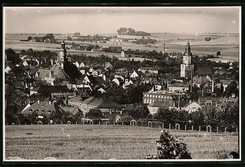 Fotografie Brück & Sohn Meissen, Ansicht Döbeln, Panorama mit Kirchtürmen