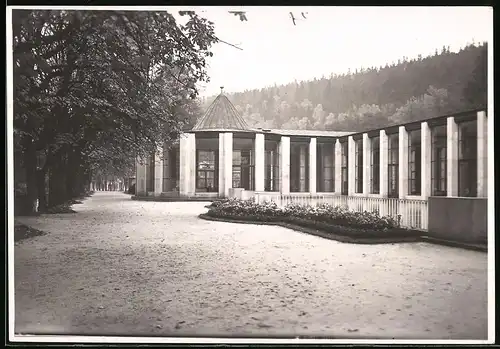 Fotografie Brück & Sohn Meissen, Ansicht Bad Elster, Partie an der Salzquelle