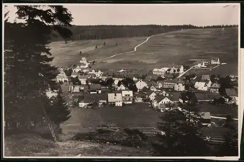 Fotografie Brück & Sohn Meissen, Ansicht Carlsfeld i. Erzg., Blick auf den Ort mit Kirche