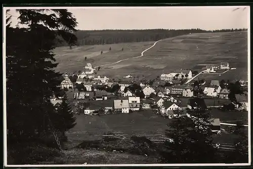 Fotografie Brück & Sohn Meissen, Ansicht Carlsfeld i. Erzg., Blick auf den Ort mit Wohnhäusern